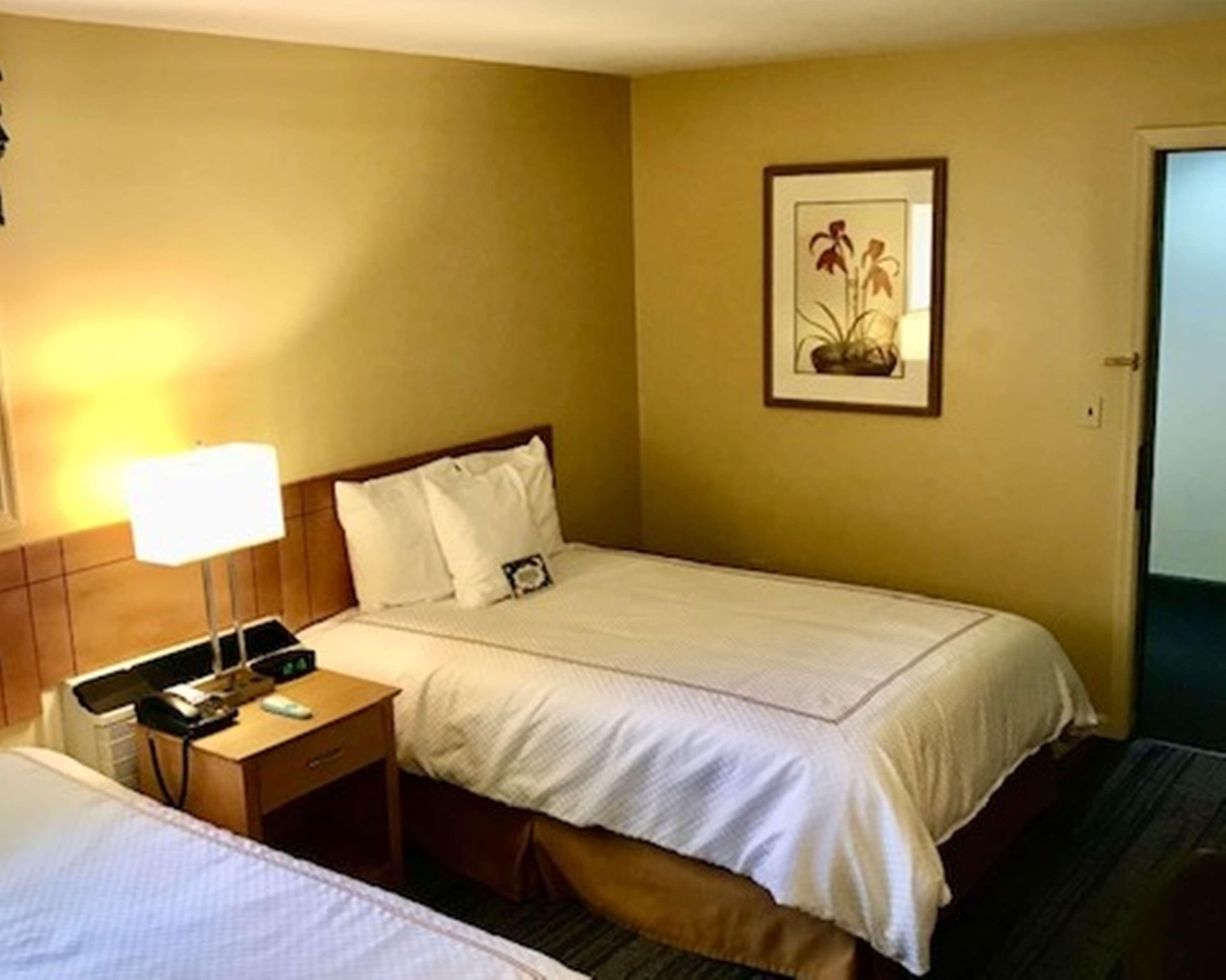 Best Western Inn & Suites Rutland-Killington Exterior foto